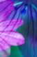 overtures