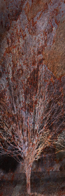 falling plums
