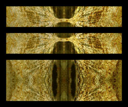 segmented