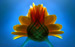the floral fantasies series